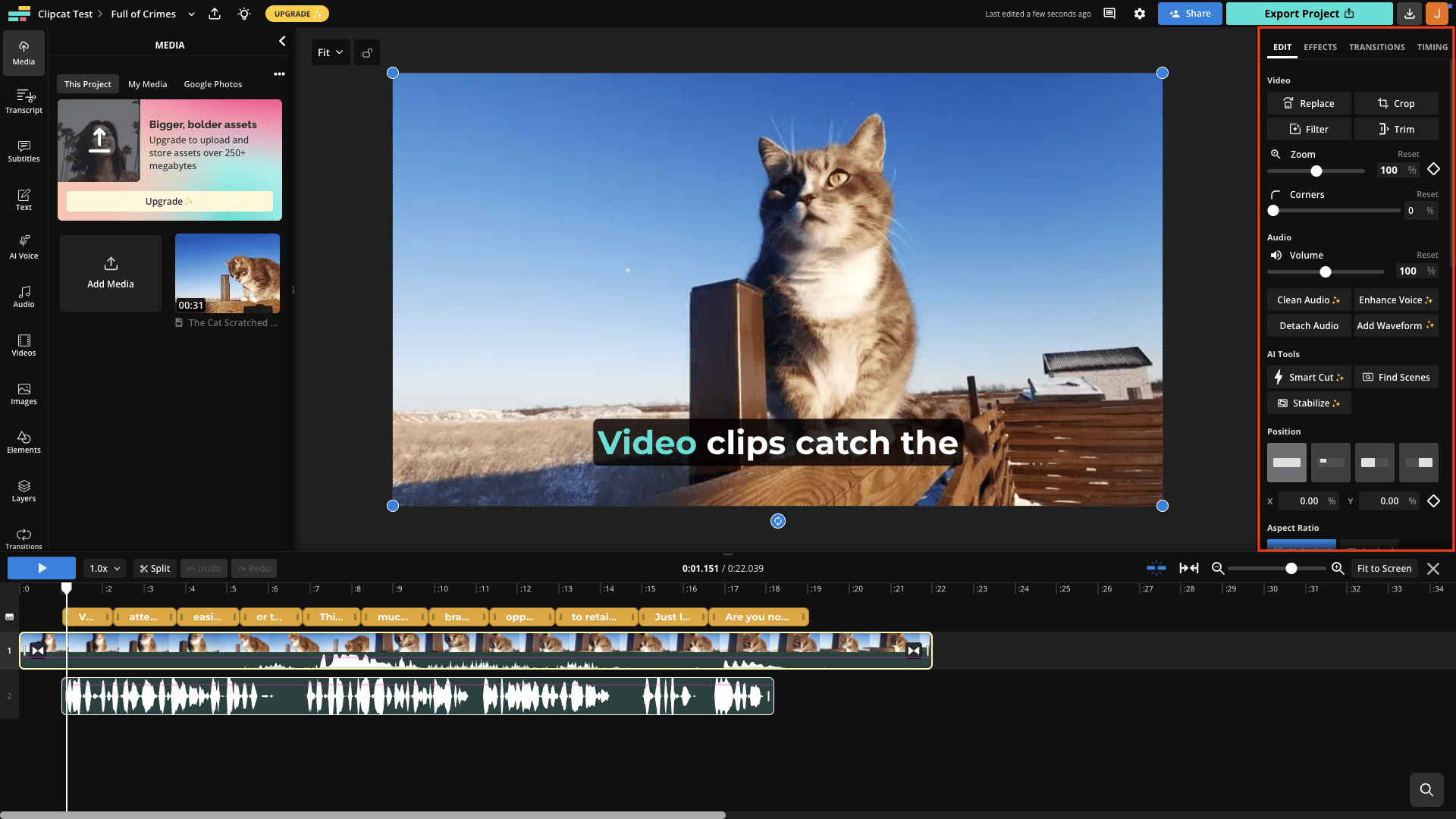 Screenshot of Kapwing video editor with sidebar outlined in red