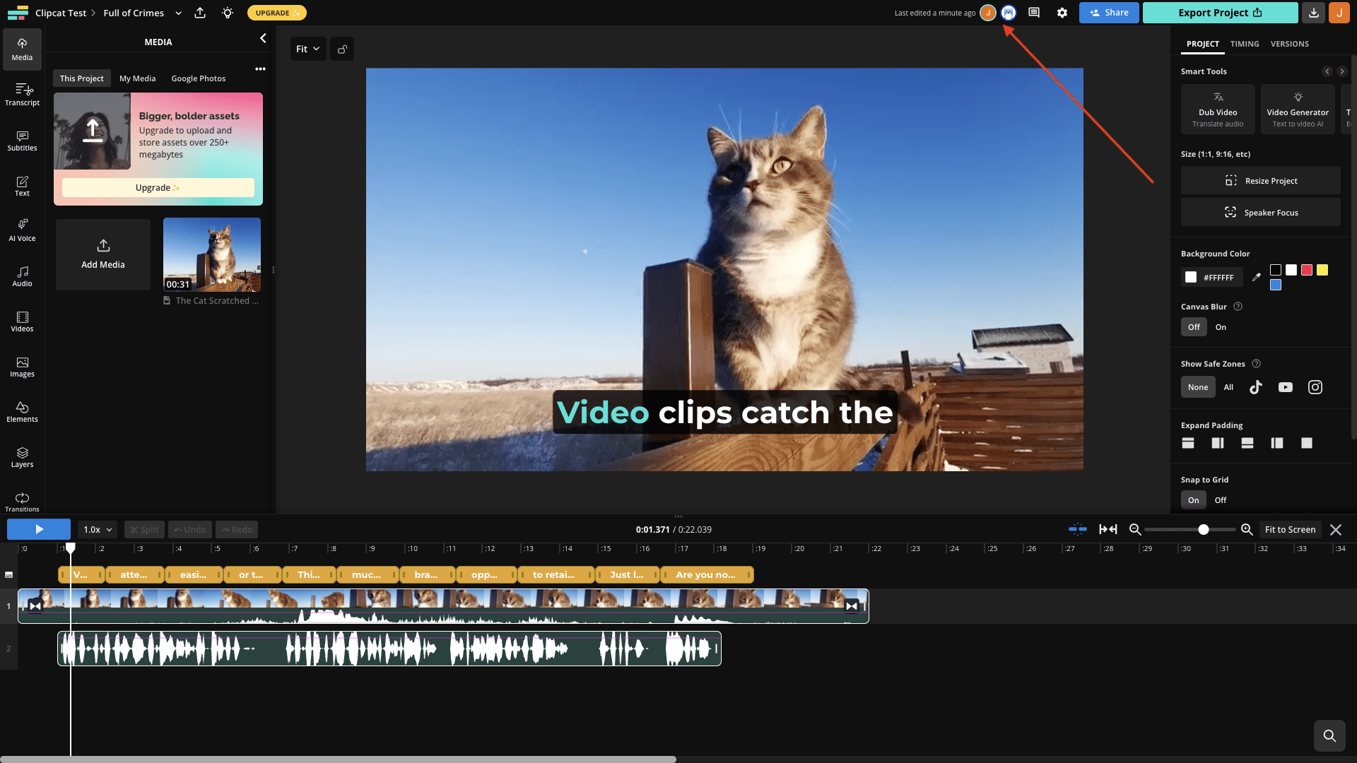 Screenshot of Kapwing video editor with red arrow pointing to collaborators